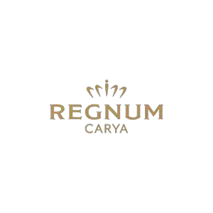 Carya Tourism Investments Inc.